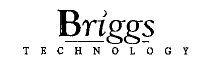 BRIGGS TECHNOLOGY