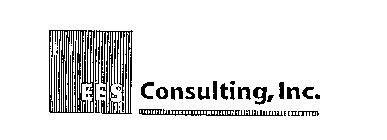 EES CONSULTING, INC.