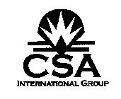 CSA INTERNATIONAL GROUP