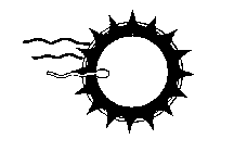 Image Trademark
