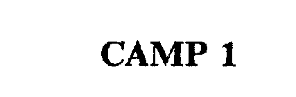 CAMP 1