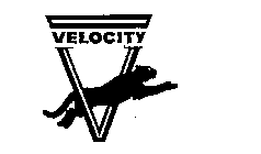 VELOCITY V
