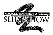 A.D.A.M. INTERACTIVE ANATOMY SLIDE SHOW