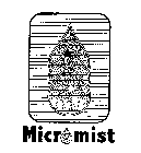 MICR MIST