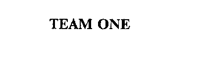 TEAM ONE