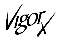 VIGOR X