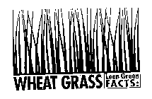 WHEAT GRASS LEAN GREEN FACTS: