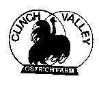 CLINCH VALLEY OSTRICH FARM