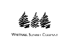 WHITNALL SUMMIT COMPANY