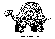 SEYMOUR THE SAFETY TURTLE