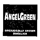 ANGELGREEN ORGANICALLY GROWN ANGELICA