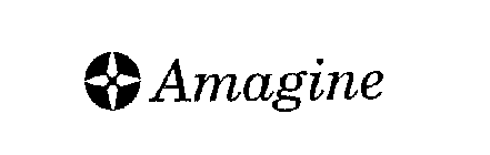 AMAGINE