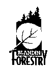 BLANDIN FORESTRY