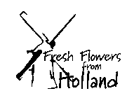FRESH FLOWERS FROM HOLLAND