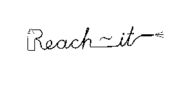 REACH - IT
