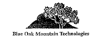 BLUE OAK MOUNTAIN TECHNOLOGIES