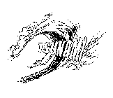 TSUNAMI