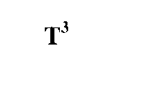 T3