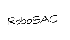 ROBOSAC