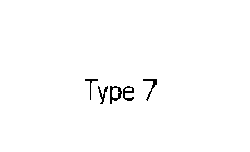 TYPE 7