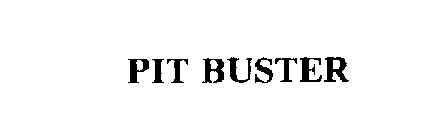 PIT BUSTER