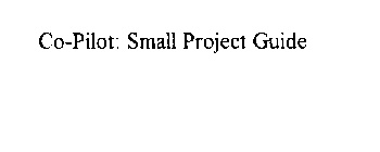 CO-PILOT: SMALL PROJECT GUIDE