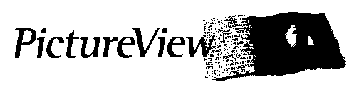 PICTUREVIEW