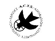 A.C.T.S. ADORATION COMMUNITY THEOLOGY SERVICE