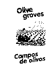 OLIVE GROVES OLIVE OIL CAMPOS DE OLIVOS