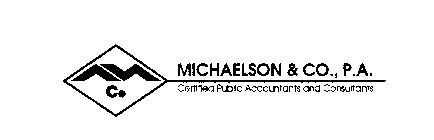 M CO MICHAELSON & CO., P.A. CERTIFIED PUBLIC ACCOUNTANTS AND CONSULTANTS