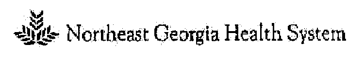NORTHEAST GEORGIA HEALTH SYSTEM