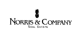 NORRIS & COMPANY REAL ESTATE