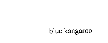 BLUE KANGAROO