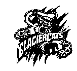 GLACIER CATS