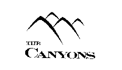 THE CANYONS