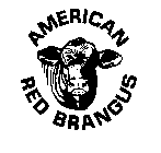AMERICAN RED BRANGUS