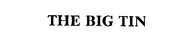 THE BIG TIN