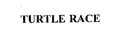 TURTLE RACE