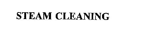 STEAM CLEANING