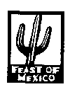 FEAST OF MEXICO