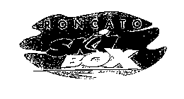 RONCATO SKI BOX