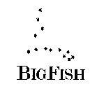 BIGFISH