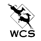 WCS