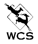 WCS & DESIGN