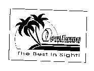 OPTIVISION THE BEST IN SIGHT!