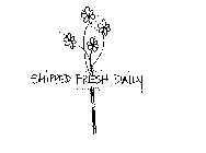 SHIPPED FRESH DAILY