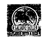 SALADO GOLD FLAVOR WITH A KICK