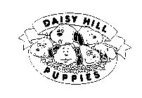 DAISY HILL PUPPIES