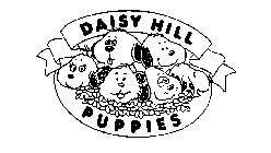 DAISY HILL PUPPIES