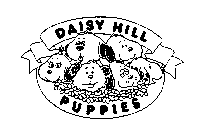 DAISY HILL PUPPIES